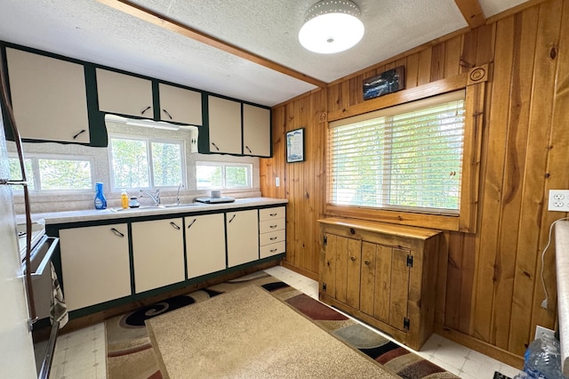48894 386th Pl, Palisade, MN 56469 - photo 60