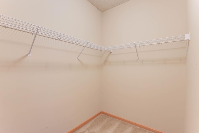15652 Emerald Dr N Unit 3, Hugo, MN 55038 - spacious closet with light carpet