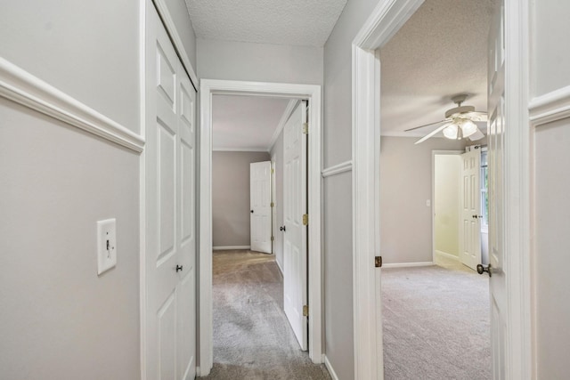 8924 Darnel Rd, Eden Prairie, MN 55347 - corridor with a textured ceiling, carpet flooring, and ornamental molding