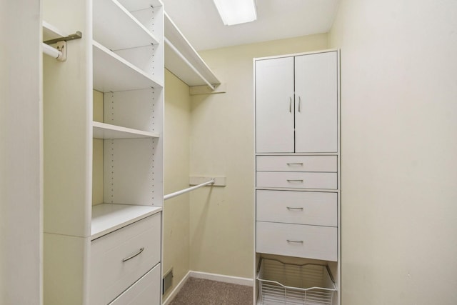 8924 Darnel Rd, Eden Prairie, MN 55347 - walk in closet featuring carpet flooring