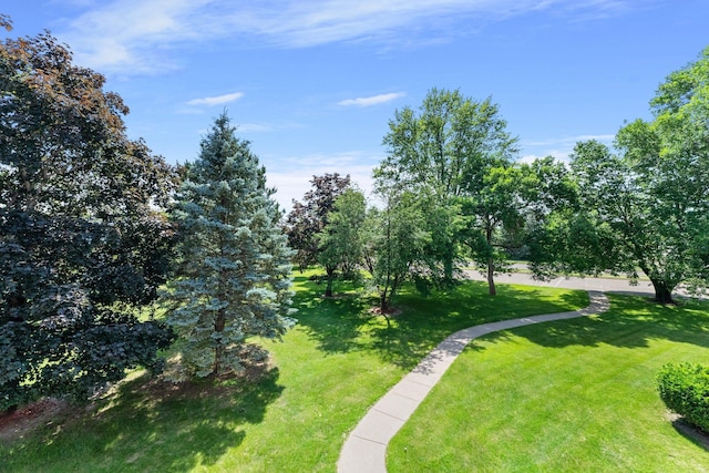 1150 Dellwood St S Unit 306, Cambridge, MN 55008 - view of green lawn