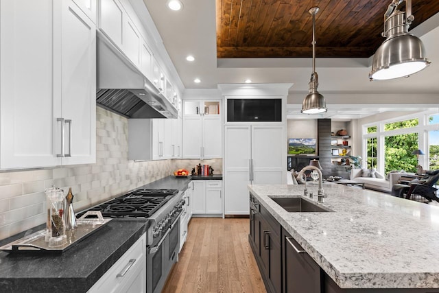 1595 Locust Hills Cir, Wayzata, MN 55391 - kitchen with double oven range, under cabinet range hood, wood ceiling, light wood finished floors, and recessed lighting