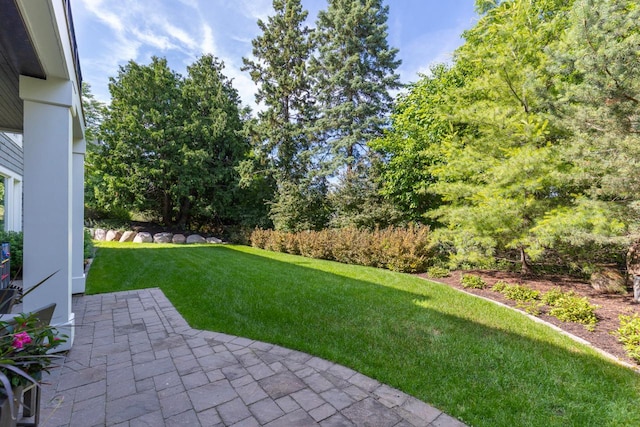 1595 Locust Hills Cir, Wayzata, MN 55391 - view of grassy yard with a patio