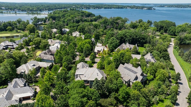 1595 Locust Hills Cir, Wayzata, MN 55391 - aerial view of residential area with a large body of water