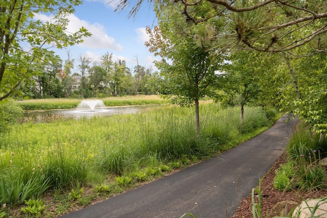 1595 Locust Hills Cir, Wayzata, MN 55391 - view of road with a water view