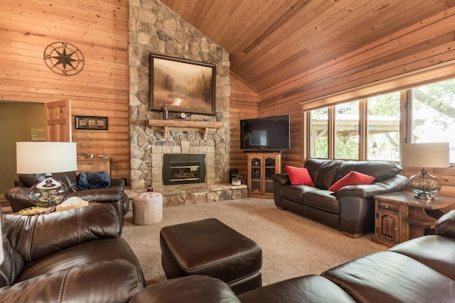 10321 County Road 58 NW, Brandon, MN 56315 - photo 46