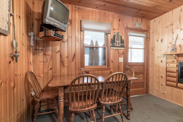 10321 County Road 58 NW, Brandon, MN 56315 - photo 74