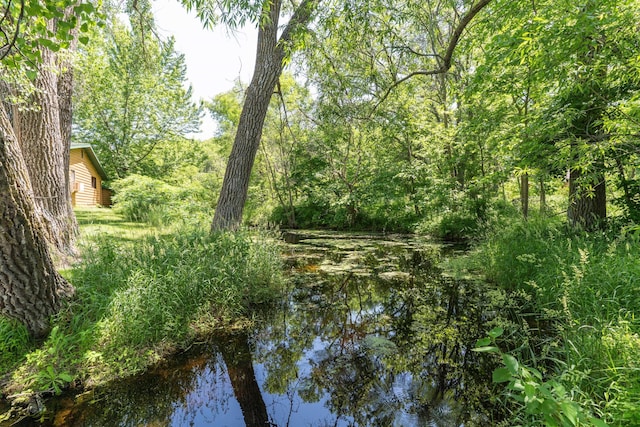 10321 County Road 58 NW, Brandon, MN 56315 - photo 80