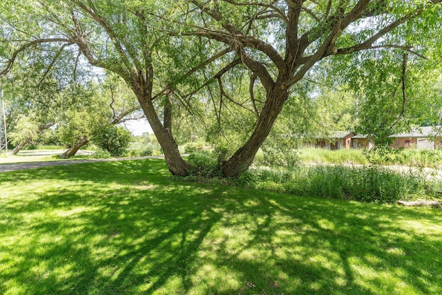 10321 County Road 58 NW, Brandon, MN 56315 - photo 87