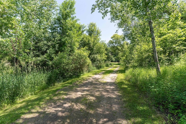 10321 County Road 58 NW, Brandon, MN 56315 - photo 88