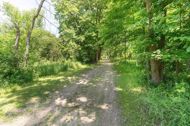 10321 County Road 58 NW, Brandon, MN 56315 - photo 89