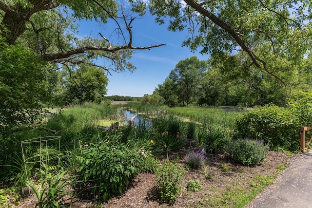 10321 County Road 58 NW, Brandon, MN 56315 - photo 105