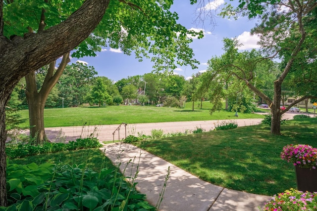 1511 Branston St, Saint Paul, MN 55108 - view of home's community featuring a yard and view of wooded area
