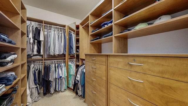 830 Prairie Island Rd N, Winona, MN 55987 - walk in closet featuring light colored carpet
