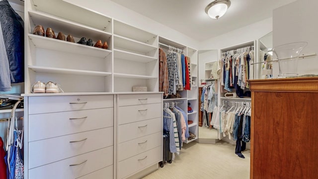 830 Prairie Island Rd N, Winona, MN 55987 - walk in closet with light carpet