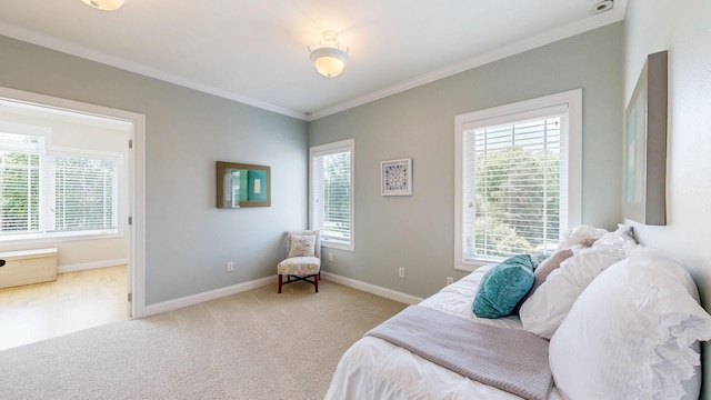 830 Prairie Island Rd N, Winona, MN 55987 - bedroom with ornamental molding and carpet floors