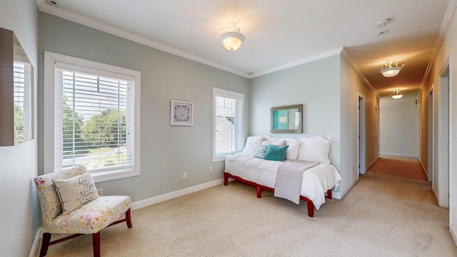 830 Prairie Island Rd N, Winona, MN 55987 - bedroom with ornamental molding, multiple windows, and light colored carpet