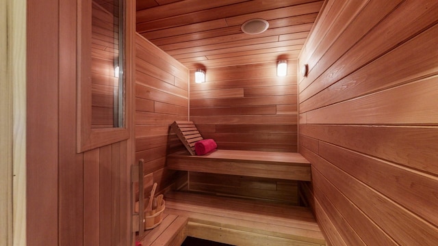 830 Prairie Island Rd N, Winona, MN 55987 - sauna with wooden ceiling and wooden walls