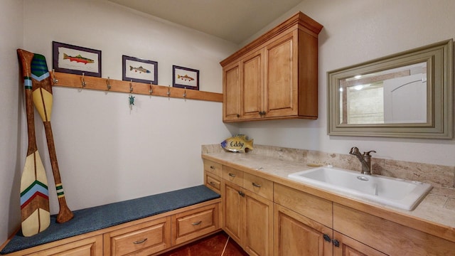 830 Prairie Island Rd N, Winona, MN 55987 - mudroom with a sink and dark tile patterned floors