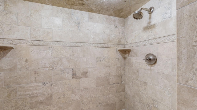830 Prairie Island Rd N, Winona, MN 55987 - bathroom view of a tile shower