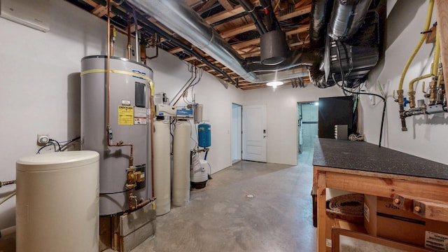 830 Prairie Island Rd N, Winona, MN 55987 - unfinished basement with electric water heater and a water softener system
