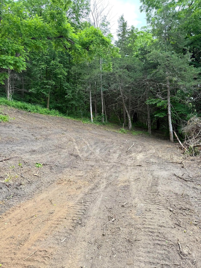 W12412 State Highway 35, Stockholm, WI 54769 - photo 6