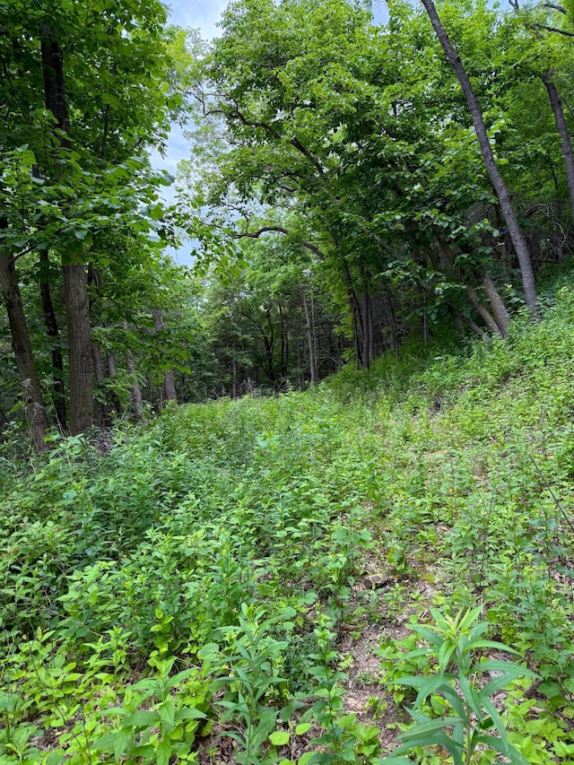 W12412 State Highway 35, Stockholm, WI 54769 - photo 7