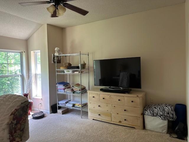 10035 City Walk Dr Unit 103, Woodbury, MN 55129 - photo 20