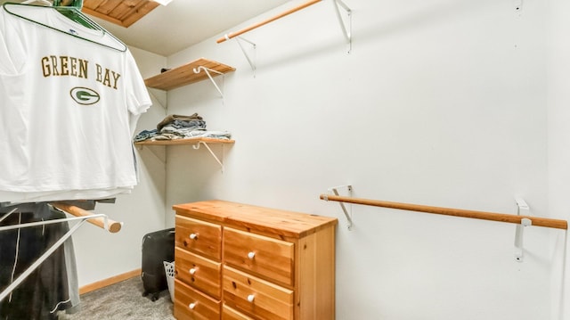 2756 7 5/8 Ave, Chetek, WI 54728 - walk in closet with carpet flooring