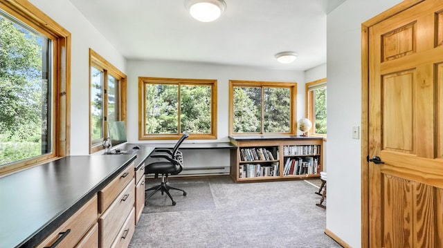 2756 7 5/8 Ave, Chetek, WI 54728 - office space with carpet flooring, plenty of natural light, and a baseboard radiator