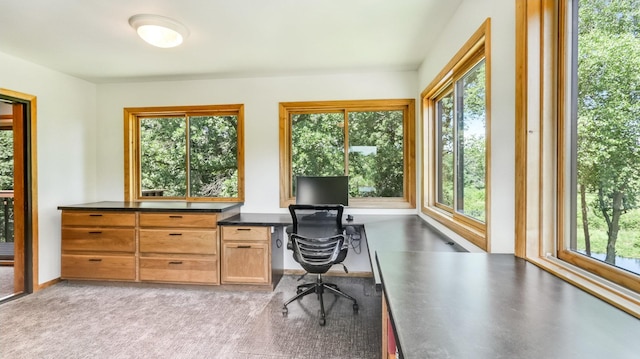 2756 7 5/8 Ave, Chetek, WI 54728 - home office with healthy amount of natural light, built in study area, and light carpet