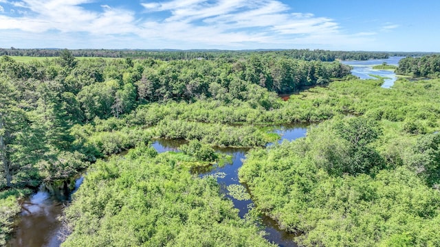 2756 7 5/8 Ave, Chetek, WI 54728 - bird's eye view of a large body of water and a forest