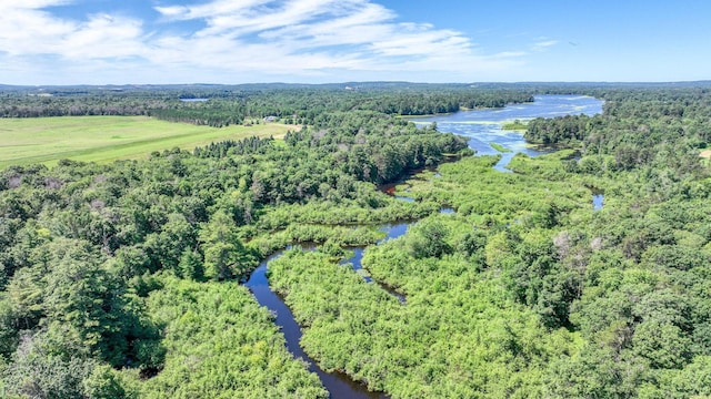 2756 7 5/8 Ave, Chetek, WI 54728 - drone / aerial view of a heavily wooded area and a nearby body of water