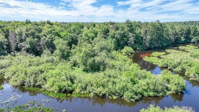 2756 7 5/8 Ave, Chetek, WI 54728 - aerial overview of property's location with a forest and a nearby body of water