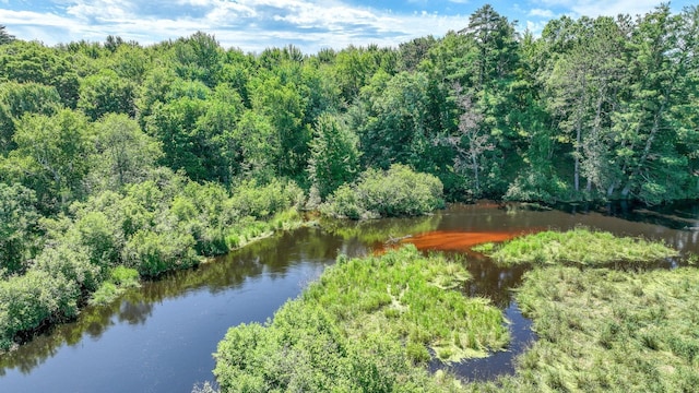 2756 7 5/8 Ave, Chetek, WI 54728 - drone / aerial view of a forest and a nearby body of water