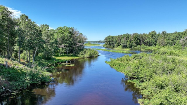 2756 7 5/8 Ave, Chetek, WI 54728 - water view featuring a heavily wooded area