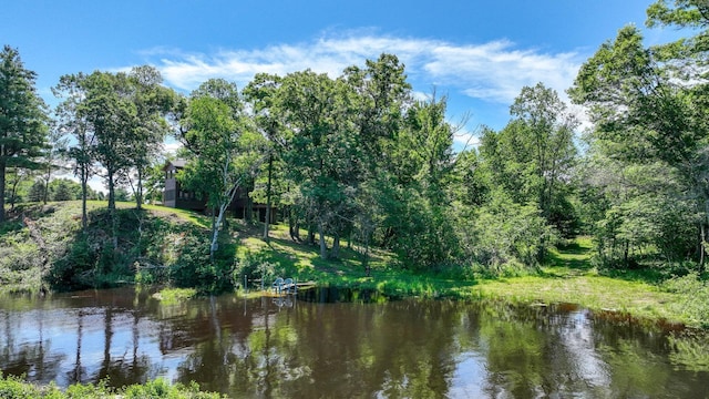 2756 7 5/8 Ave, Chetek, WI 54728 - water view