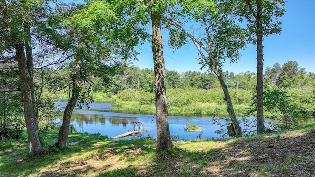 2756 7 5/8 Ave, Chetek, WI 54728 - water view featuring a heavily wooded area