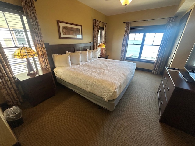 502 Cleveland Blvd W Unit 2300, Walker, MN 56484 - bedroom with carpet flooring