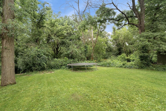 208 12th St SE, Austin, MN 55912 - view of green lawn featuring a trampoline