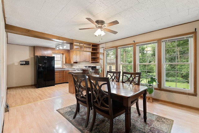 208 12th St SE, Austin, MN 55912 - dining room featuring light wood finished floors and a ceiling fan