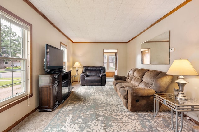 208 12th St SE, Austin, MN 55912 - living room with crown molding and carpet