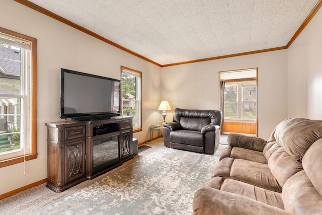 208 12th St SE, Austin, MN 55912 - living area featuring ornamental molding and carpet floors