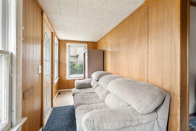 208 12th St SE, Austin, MN 55912 - sitting room with wood walls and carpet
