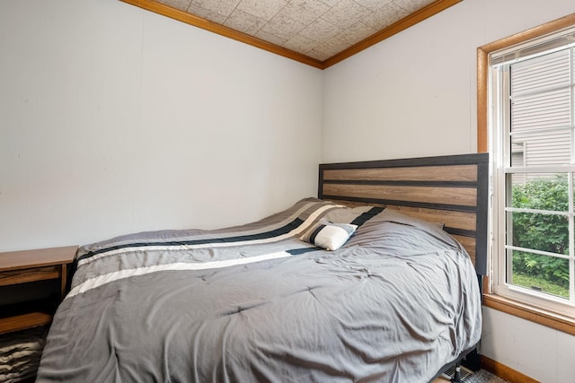 208 12th St SE, Austin, MN 55912 - carpeted bedroom with crown molding and baseboards