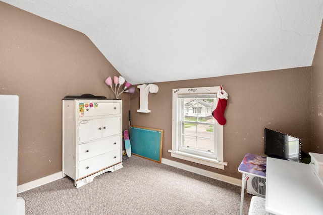 208 12th St SE, Austin, MN 55912 - bedroom featuring lofted ceiling and carpet