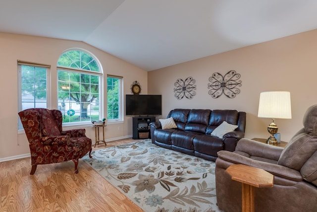 107 Oxford Path, Mankato, MN 56001 - living room with lofted ceiling and wood finished floors