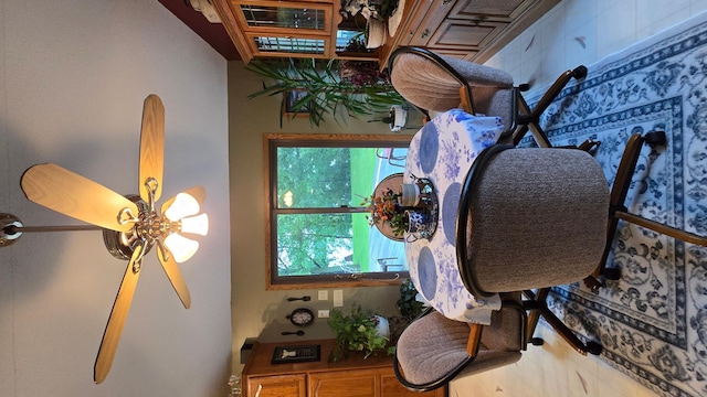 2145 Kenneth Dr, Albert Lea, MN 56007 - detailed view