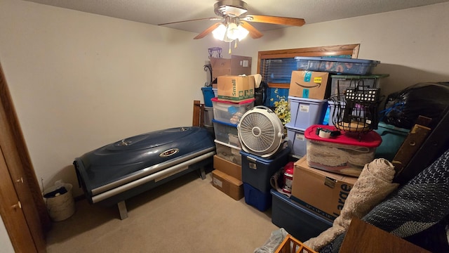 2145 Kenneth Dr, Albert Lea, MN 56007 - storage area with ceiling fan