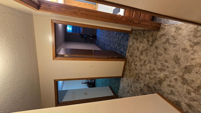 2145 Kenneth Dr, Albert Lea, MN 56007 - view of bathroom